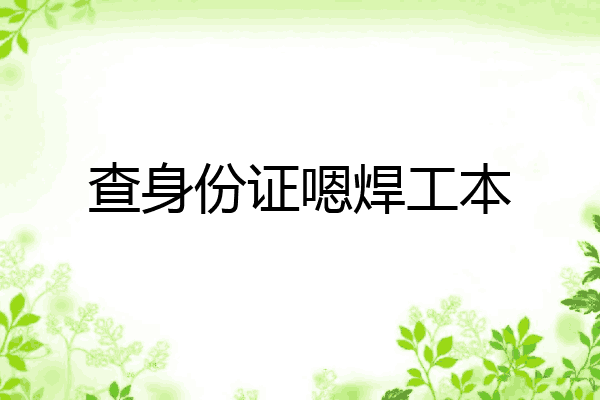 查身份证嗯焊工本