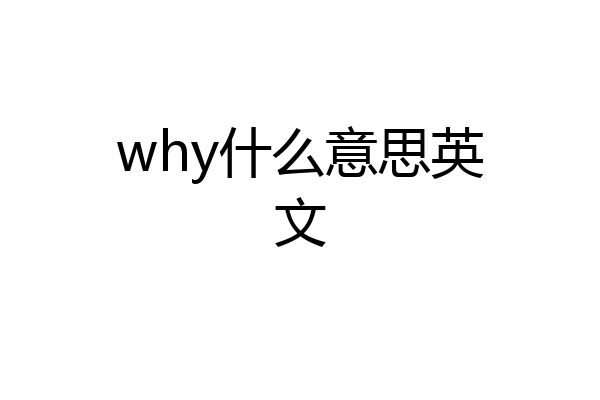 why什么意思英文