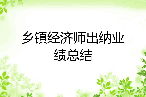 乡镇经济师出纳业绩总结