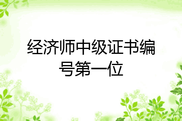 经济师中级证书编号第一位