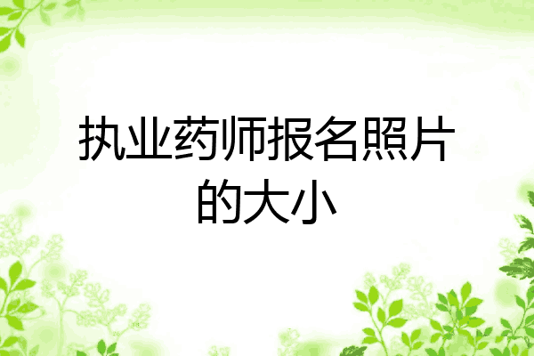 执业药师报名照片的大小