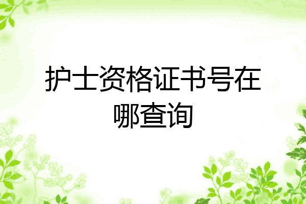护士资格证书号在哪查询
