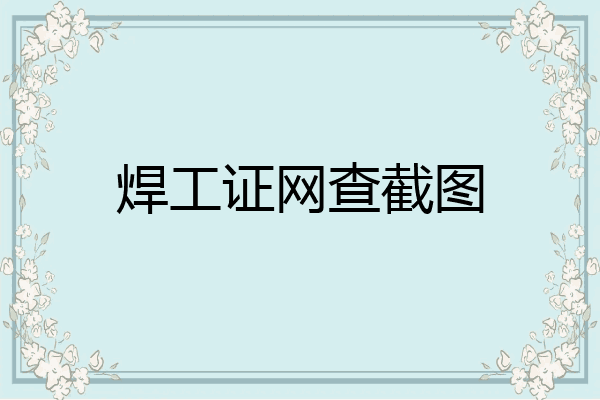焊工证网查截图