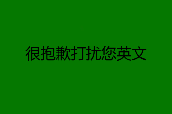 很抱歉打扰您英文