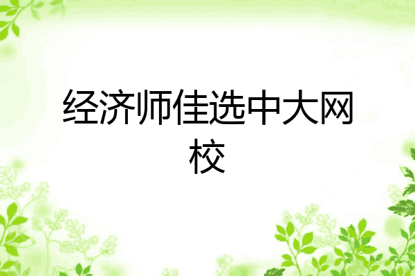经济师佳选中大网校