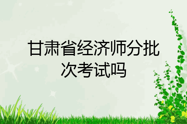 甘肃省经济师分批次考试吗