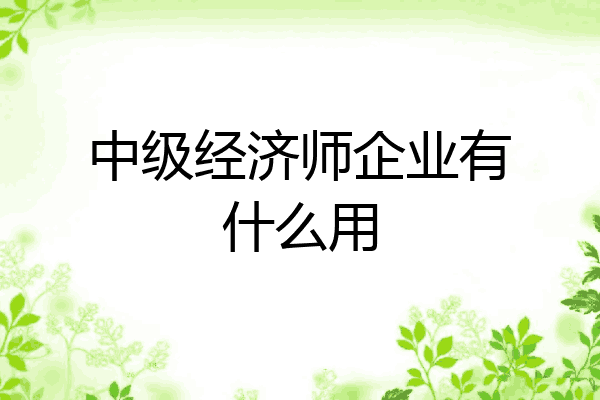 中级经济师企业有什么用