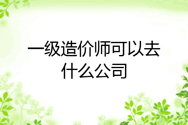 一级造价师可以去什么公司