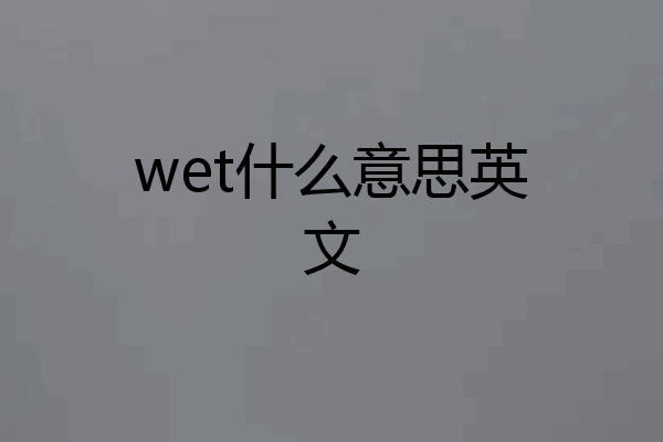 wet什么意思英文