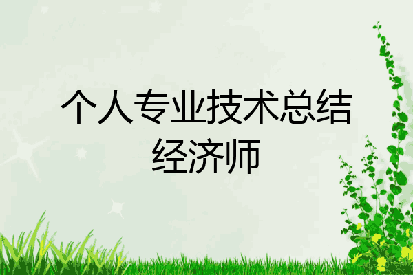 个人专业技术总结经济师