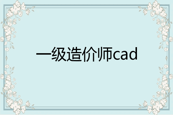 一级造价师cad