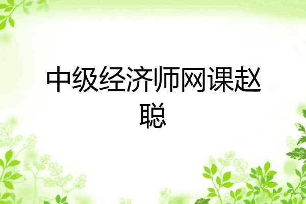 中级经济师网课赵聪