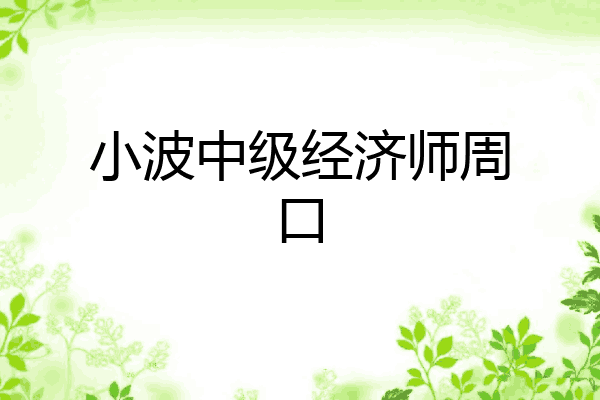 小波中级经济师周口