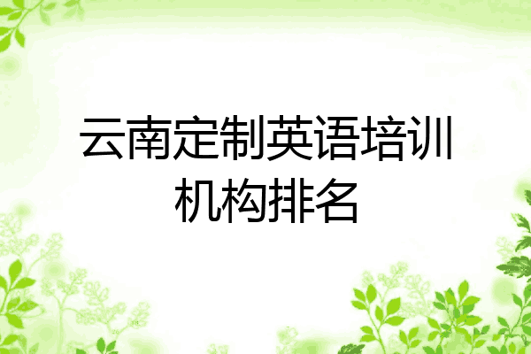 云南定制英语培训机构排名