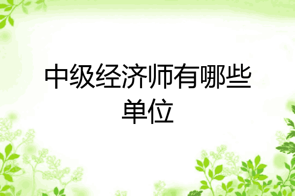 中级经济师有哪些单位