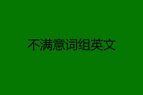 不满意词组英文