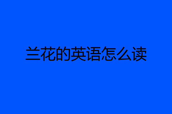 兰花的英语怎么读