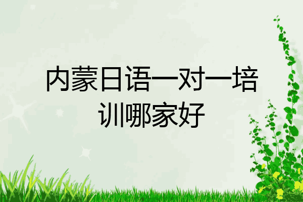内蒙日语一对一培训哪家好