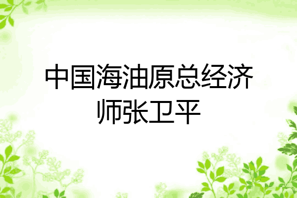 中国海油原总经济师张卫平