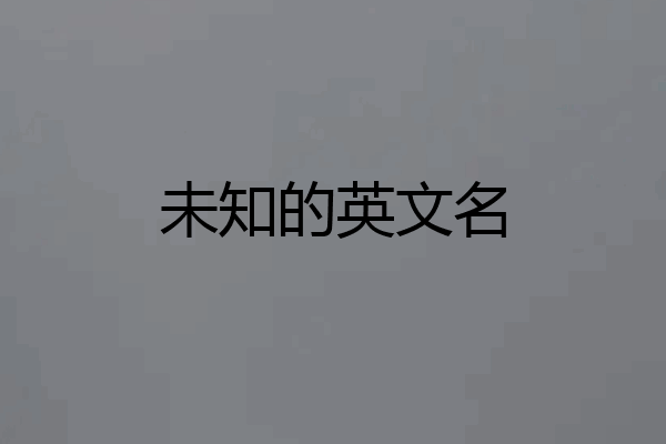 未知的英文名