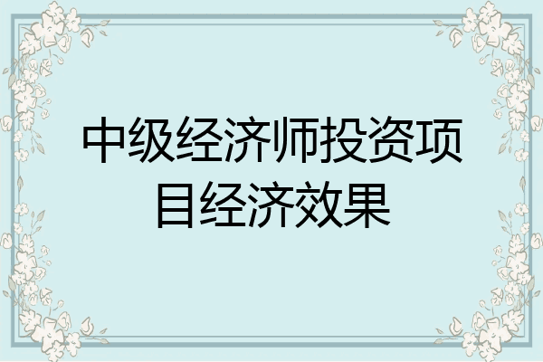 中级经济师投资项目经济效果