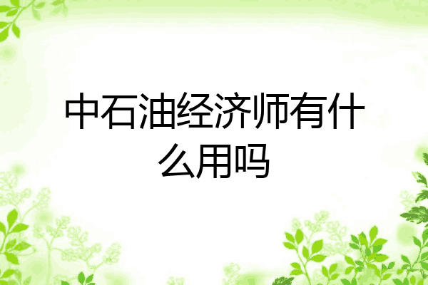 中石油经济师有什么用吗