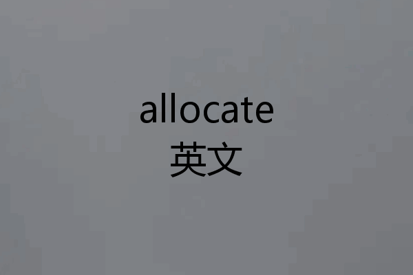 allocate英文