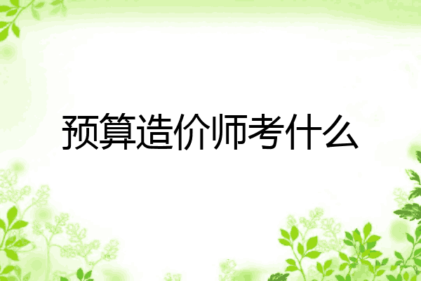 预算造价师考什么