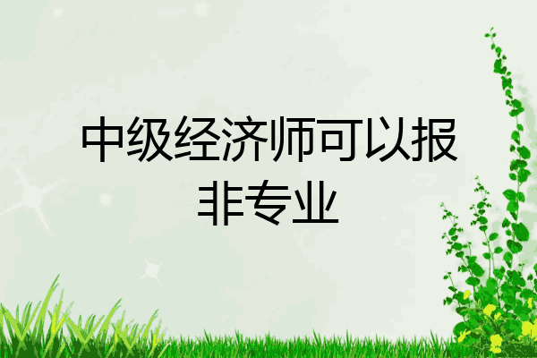 中级经济师可以报非专业