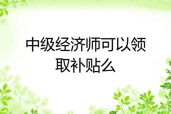 中级经济师可以领取补贴么