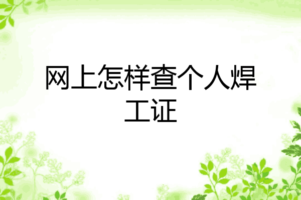 网上怎样查个人焊工证