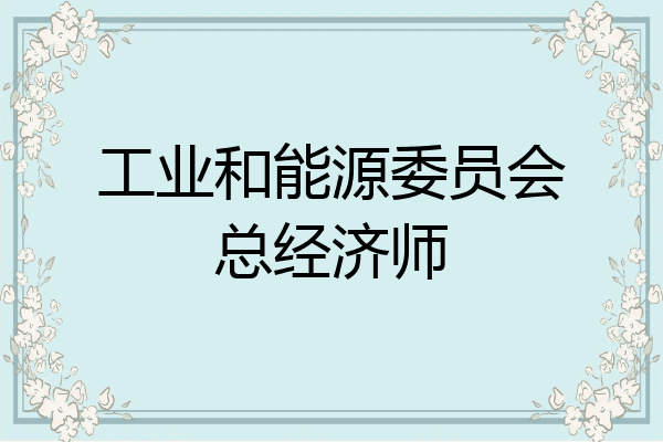 工业和能源委员会总经济师