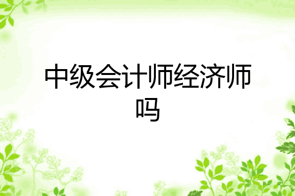 中级会计师经济师吗