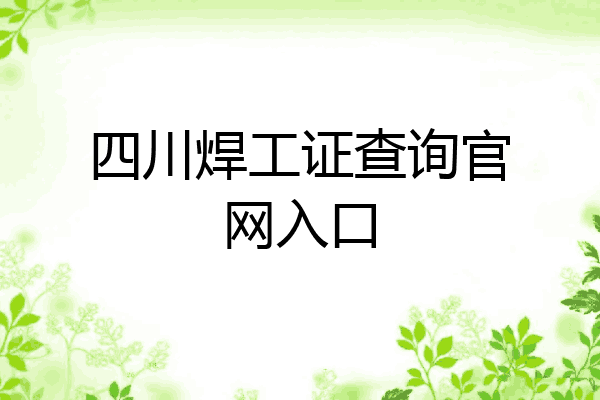 四川焊工证查询官网入口