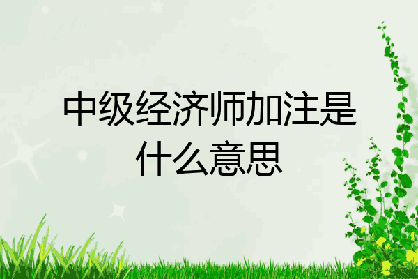 中级经济师加注是什么意思