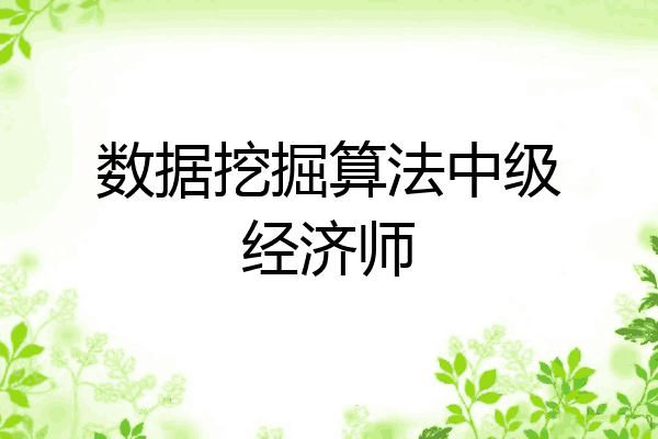 数据挖掘算法中级经济师