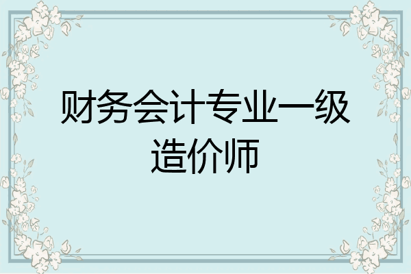 财务会计专业一级造价师