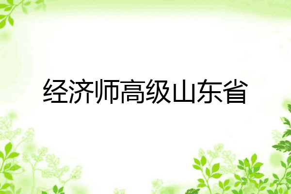 经济师高级山东省
