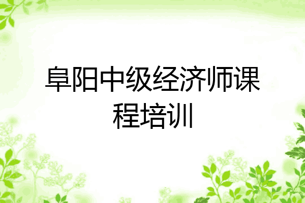 阜阳中级经济师课程培训