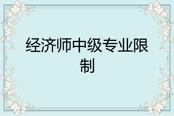 经济师中级专业限制