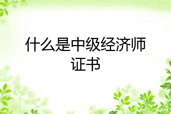 什么是中级经济师证书