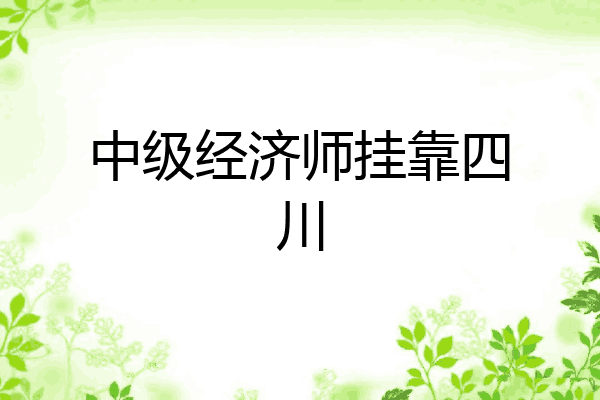 中级经济师挂靠四川