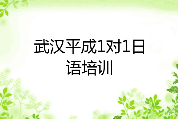 武汉平成1对1日语培训