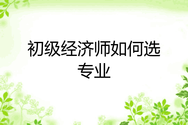 初级经济师如何选专业
