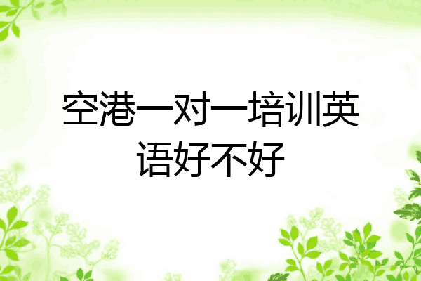 空港一对一培训英语好不好