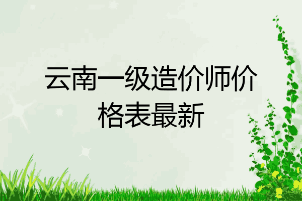 云南一级造价师价格表最新