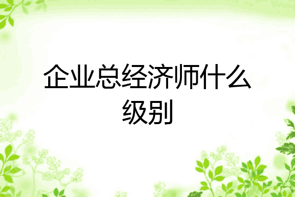 企业总经济师什么级别