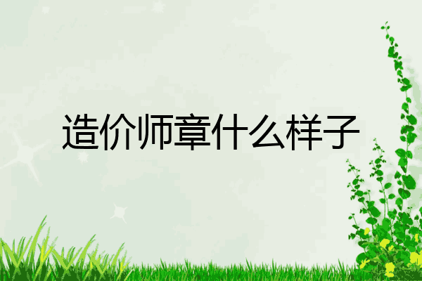 造价师章什么样子