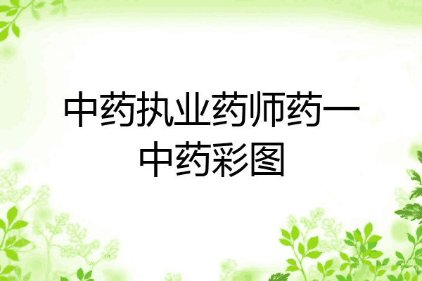 中药执业药师药一中药彩图