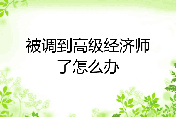 被调到高级经济师了怎么办